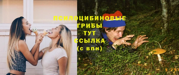 прущие крисы Балахна