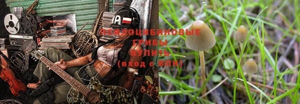 прущие крисы Балахна