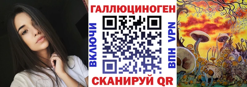 Галлюциногенные грибы Psilocybine cubensis  Сысерть 